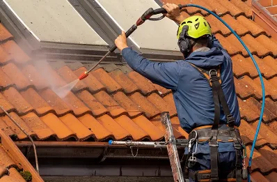 Démoussage et hydrofuge de toiture à Cheust